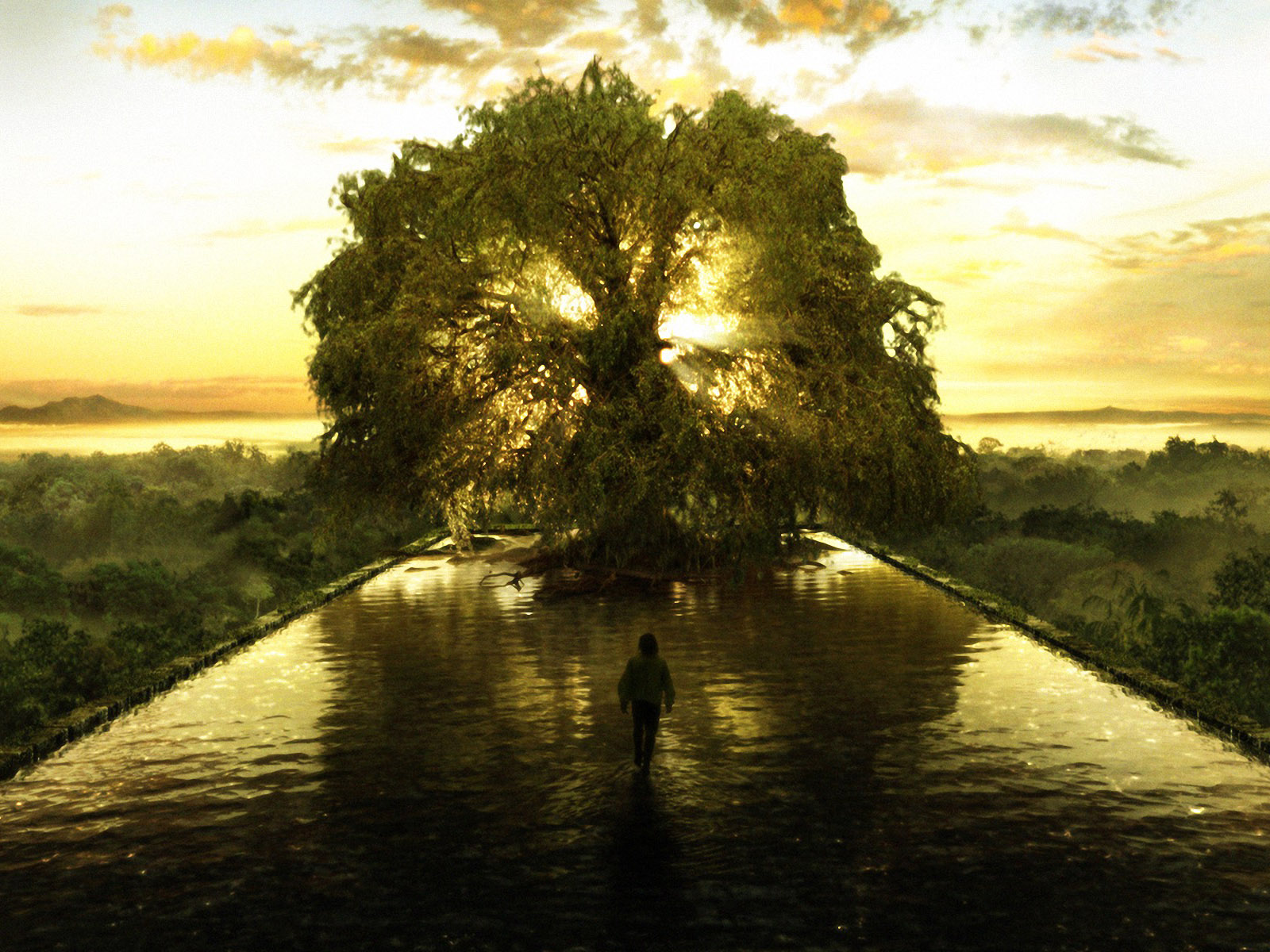 the-tree-of-life-hd_